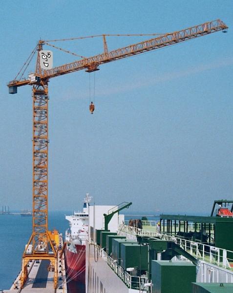 camelbully_the_crane.jpg