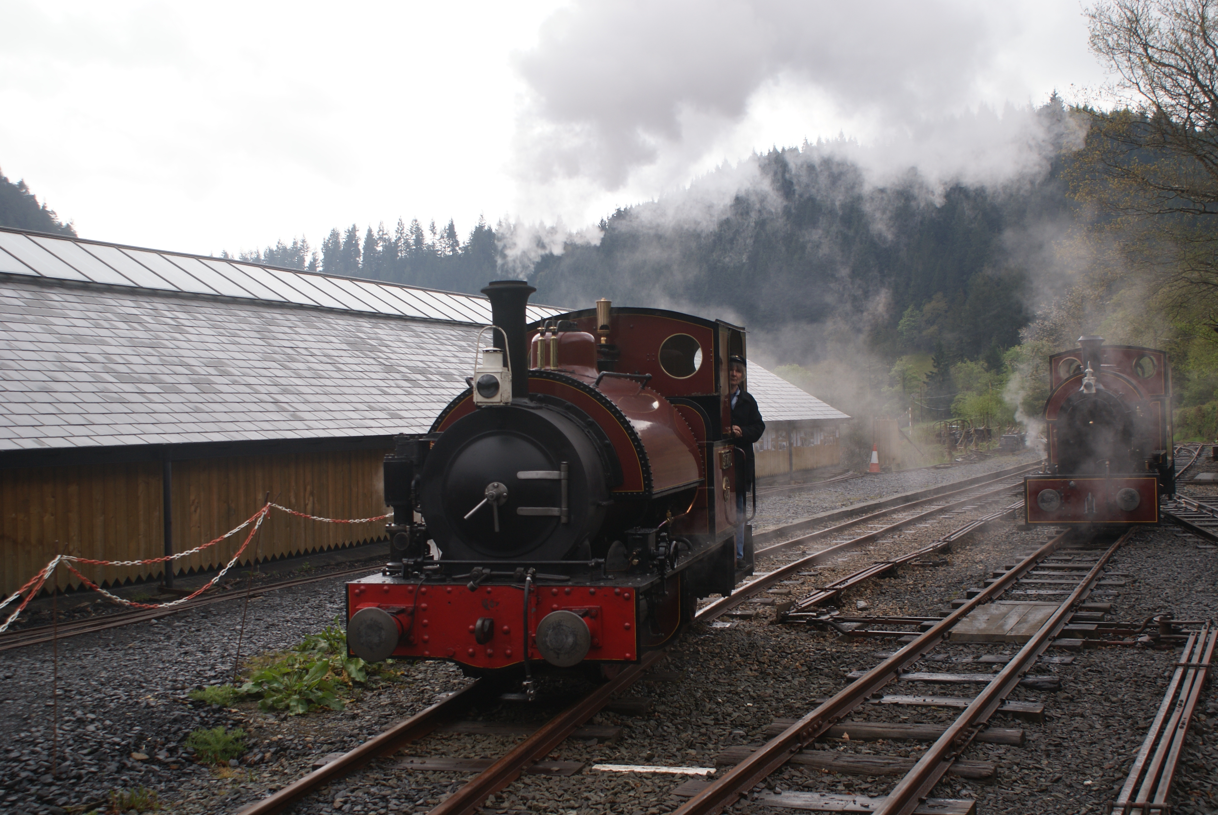 Sir_Haydn_on_Corris_Railway_-_2012-05-07.jpg