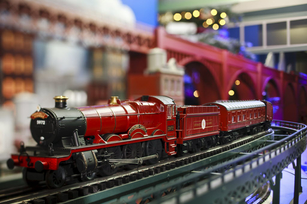 TRAINS.JPG_01-01-2012_UID_NORTH_1_1_22748157.jpg