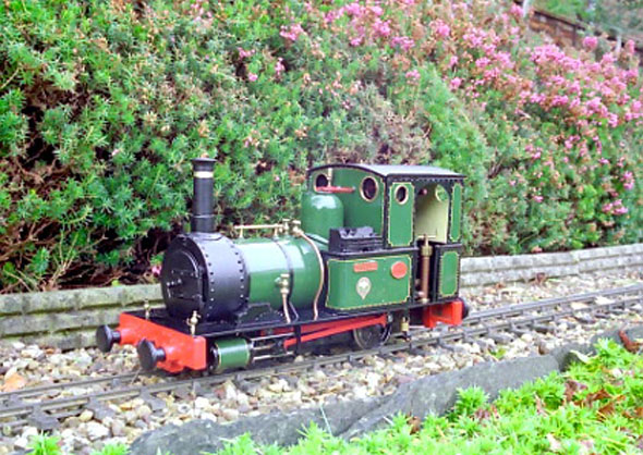 dolgoch5.jpg