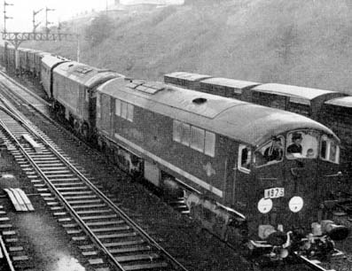 testtrain.jpg