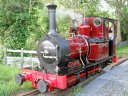 Dolgoch-14th-May-2011-022_300px.jpg