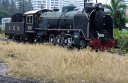 P1010750a.jpg