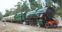 V1213_repainted_2.jpg