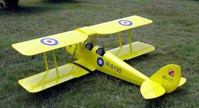 tigermothplane.jpg