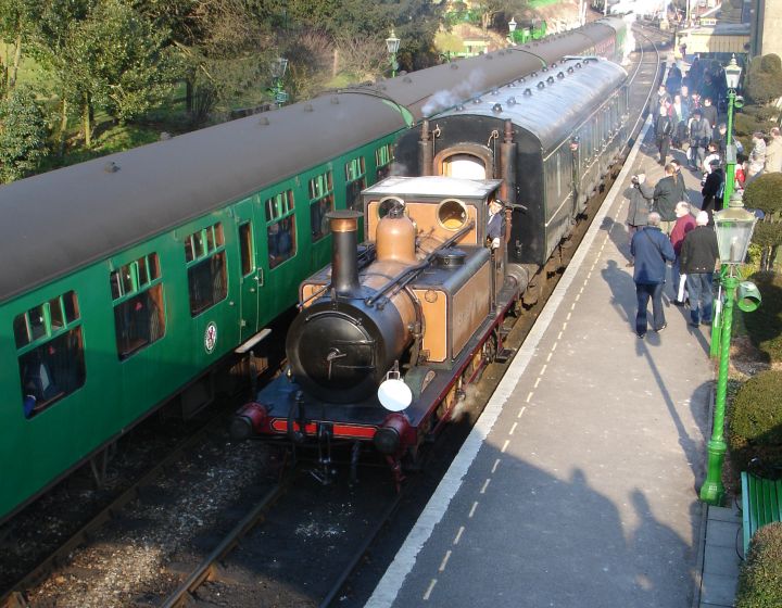 watercress_rail_255.jpg