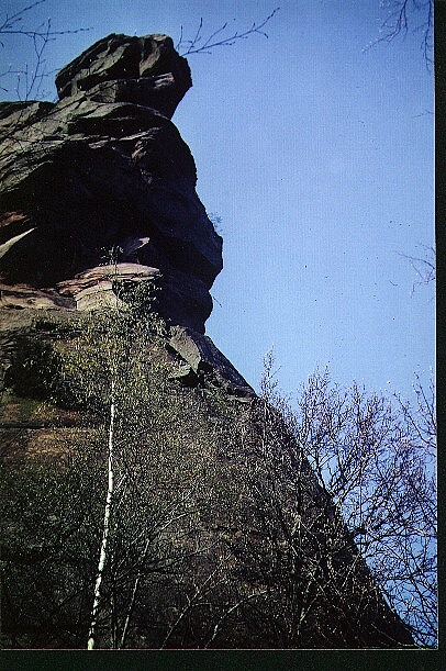 trifels1967h.jpg