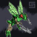 nui-paka.gif