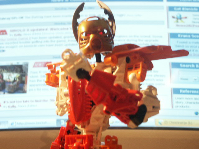 rex03.jpg