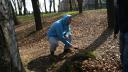 dsc02950.jpg