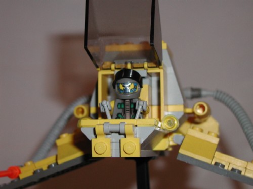 hornet13.jpg