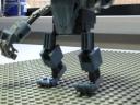 botpics_017.jpg
