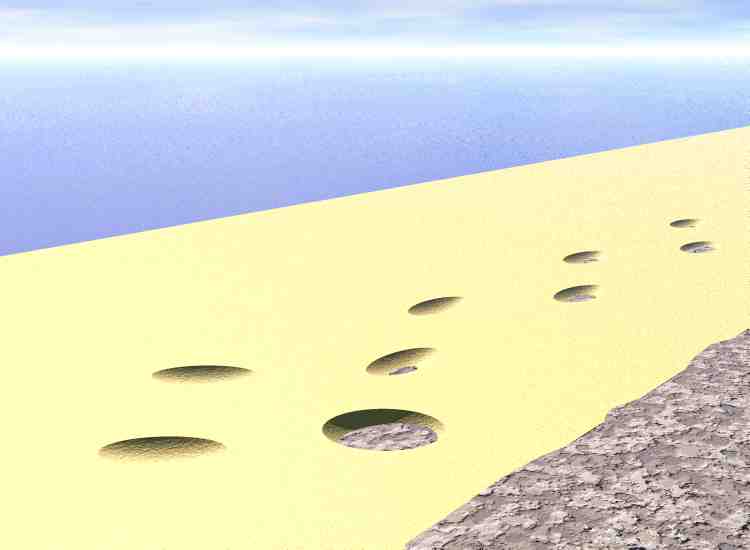 footprints2.jpg
