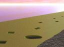 footprints1.jpg
