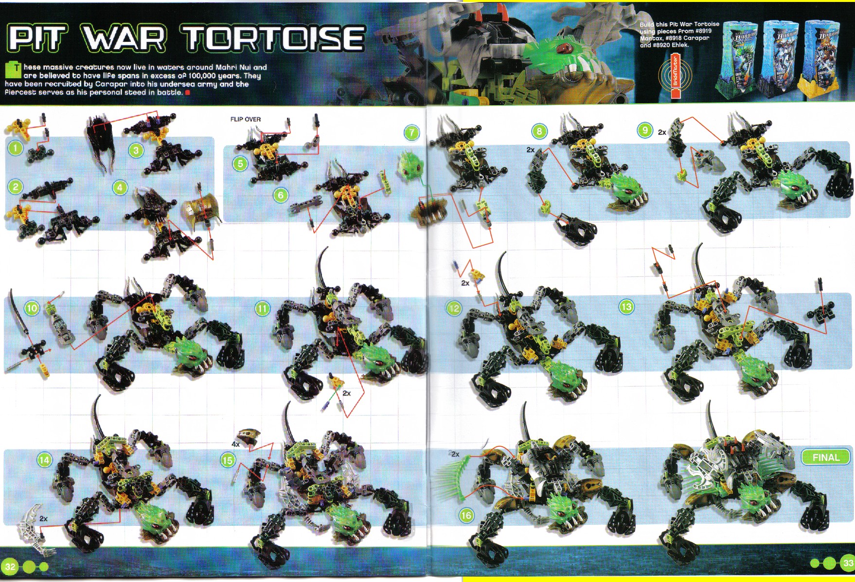 pit_war_tortoise.jpg