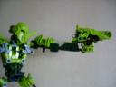 stp60046.jpg