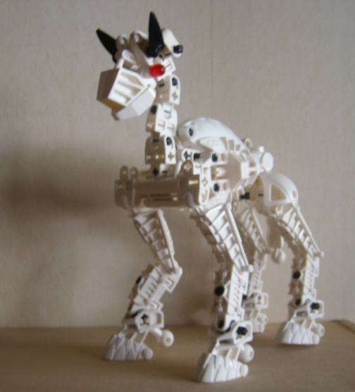 horse.jpg