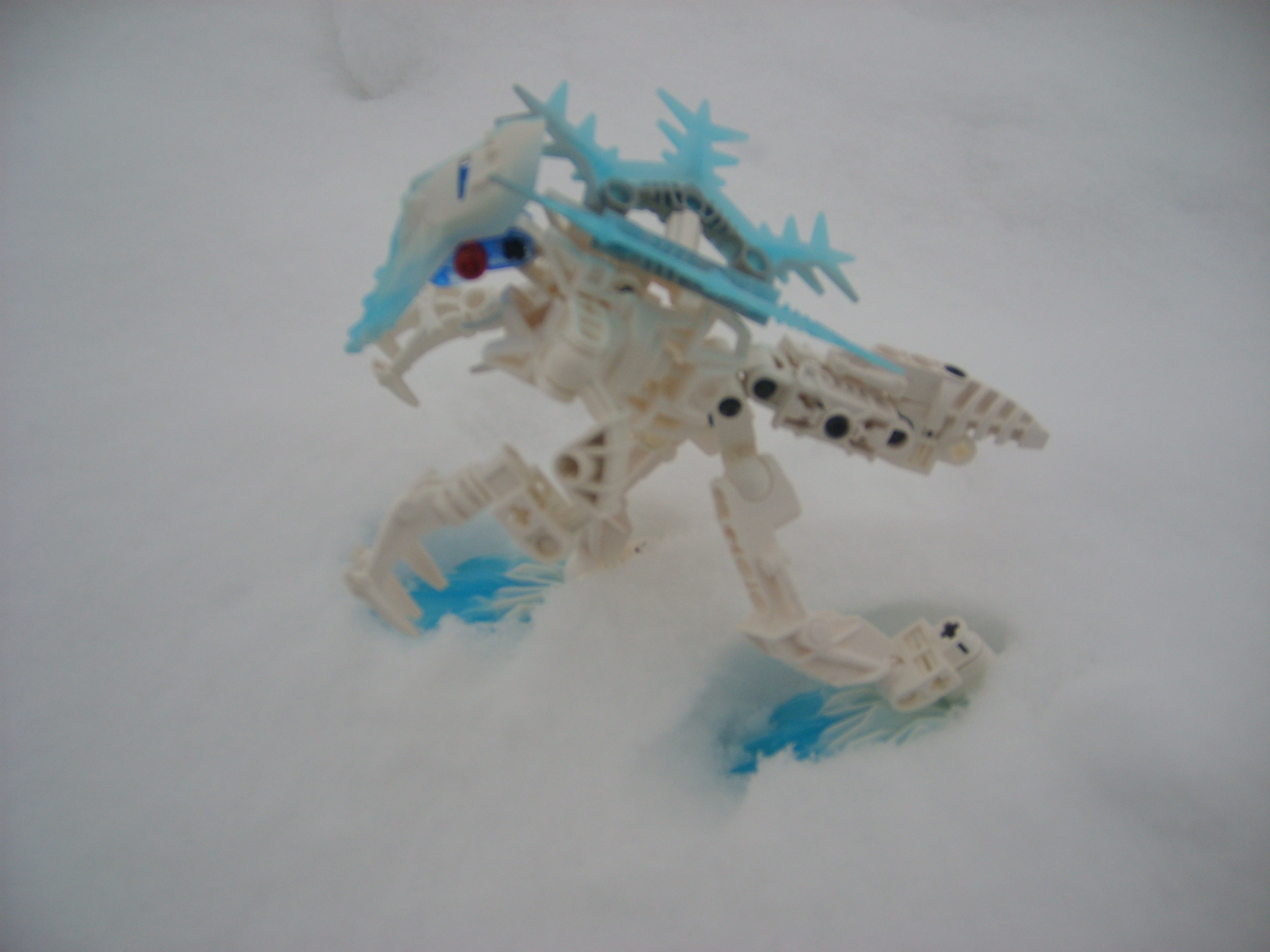 stp61204.jpg