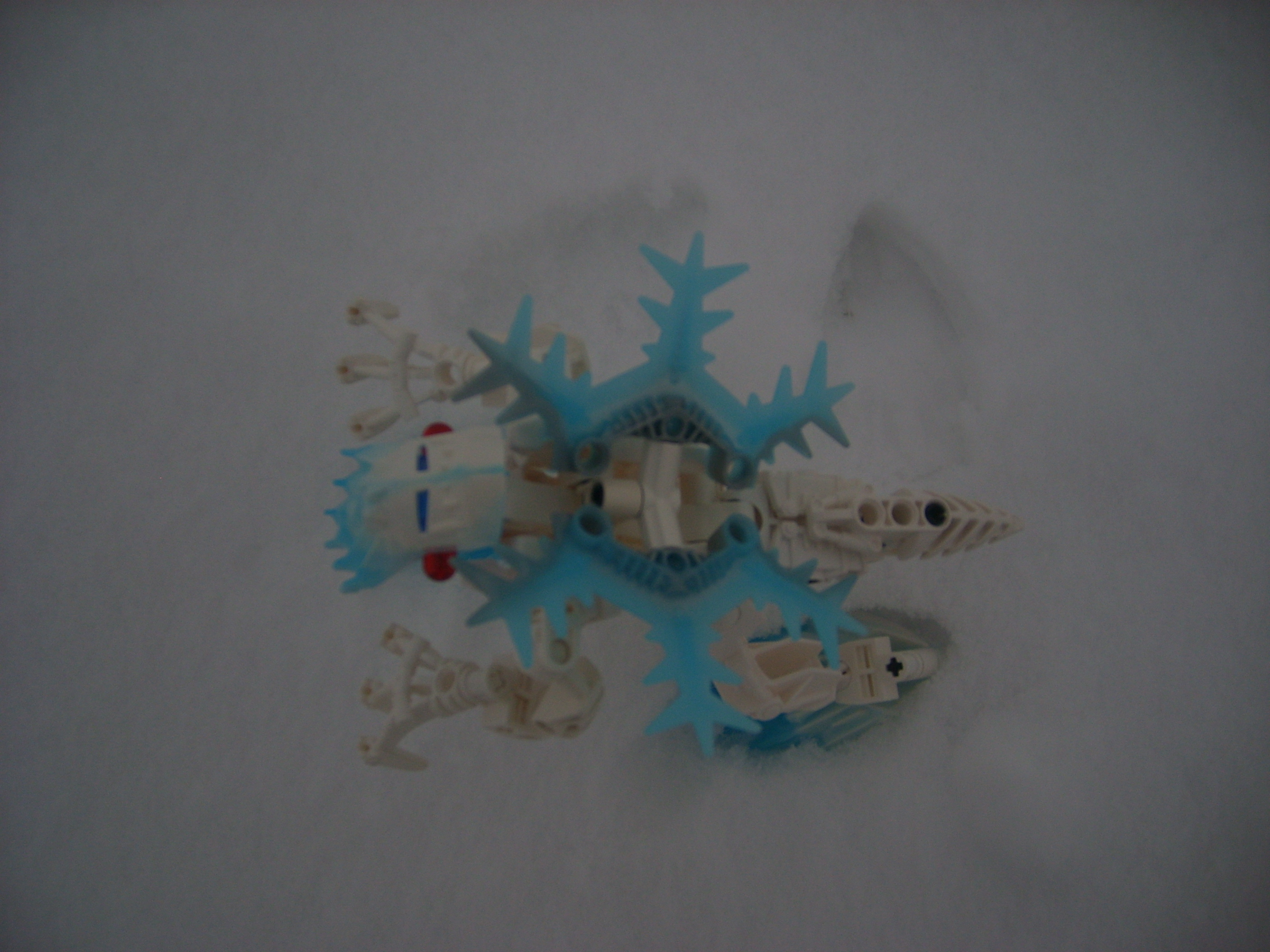 stp61205.jpg