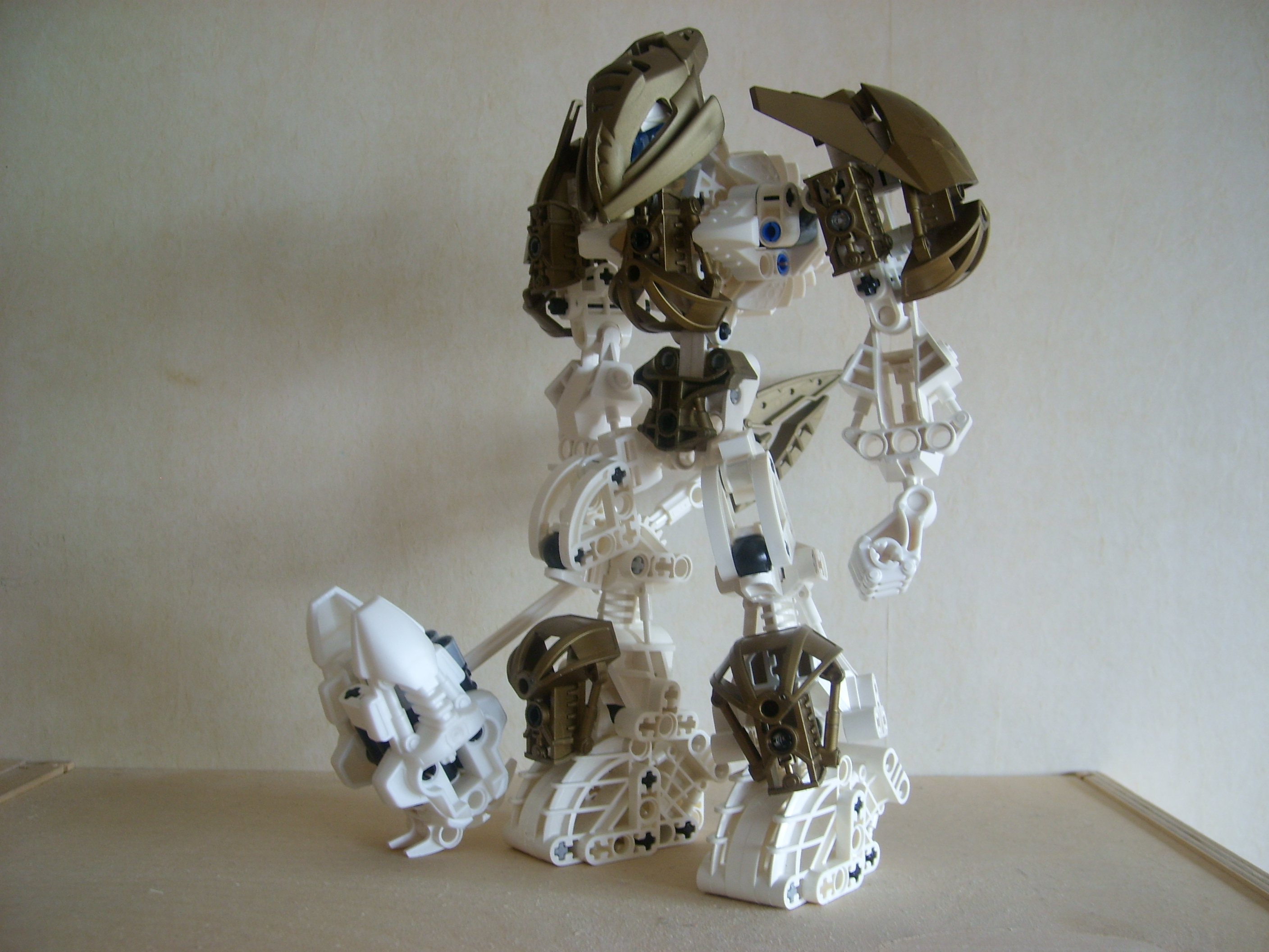 stp60110.jpg