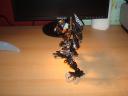 dsc02446.jpg