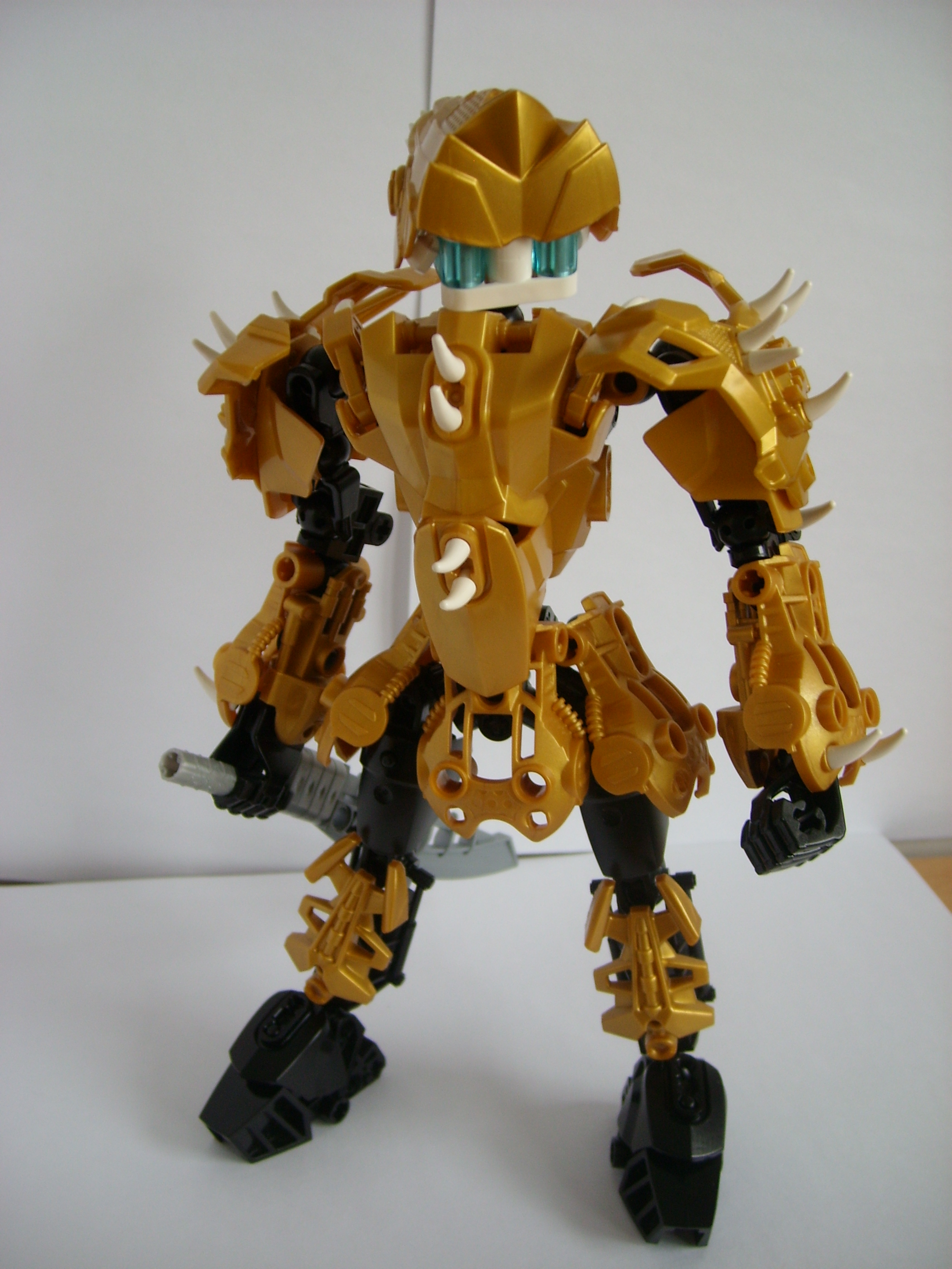 stp60406.jpg
