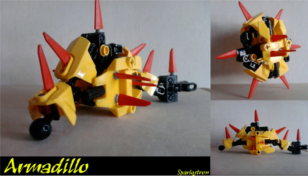 armadillo_entry_pic.jpg