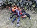Spyder