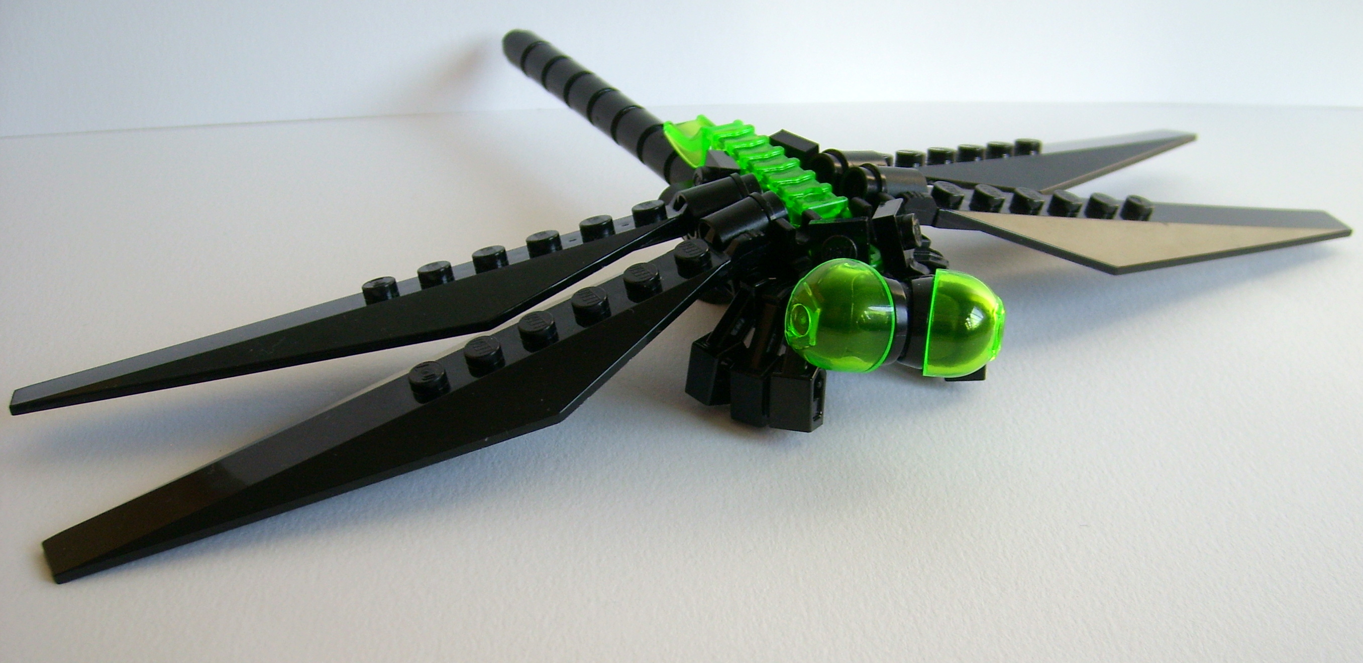 dragonfly.jpg