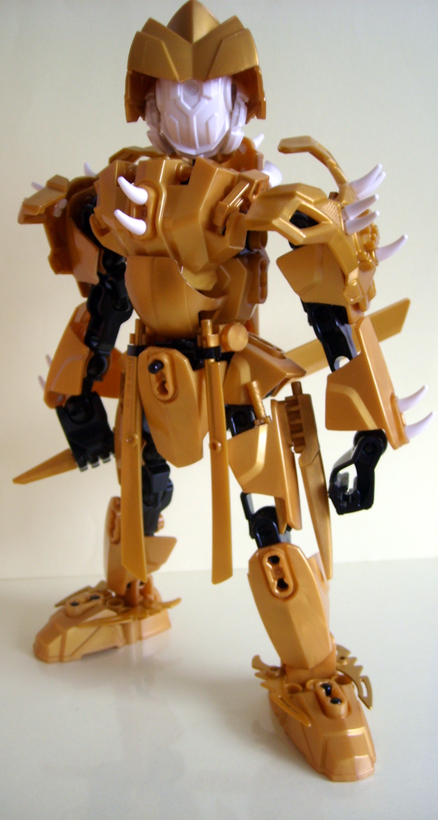 stp61306.jpg