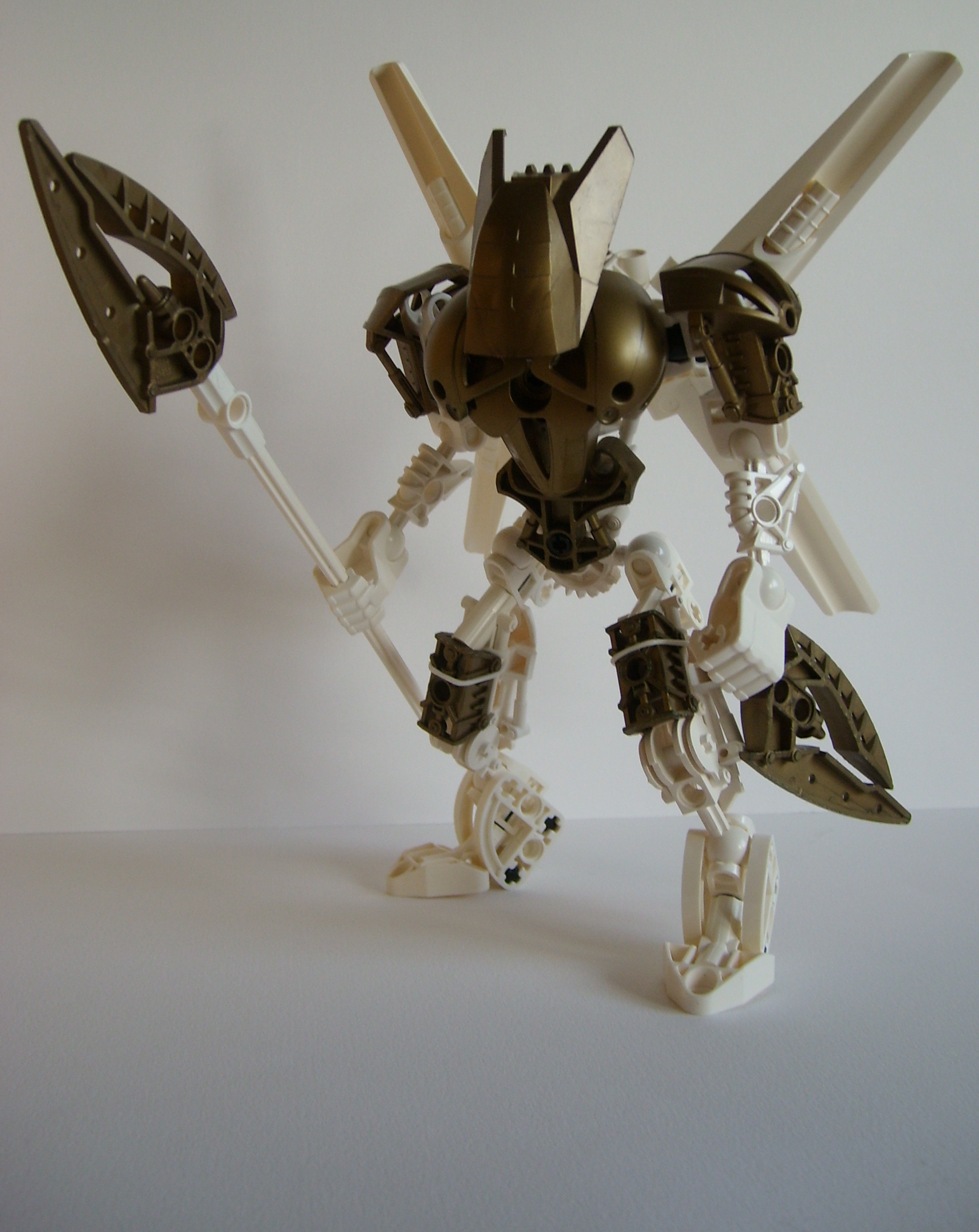 stp61509.jpg