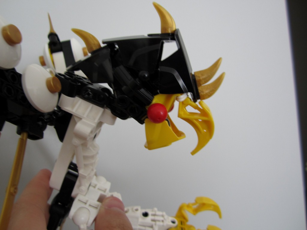bird_head.jpg