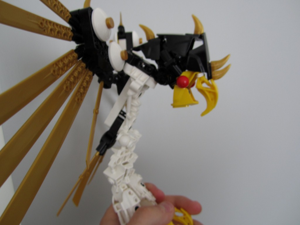 bird_head_2.jpg