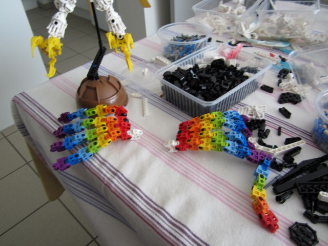 bird_rainbow_wings.jpg