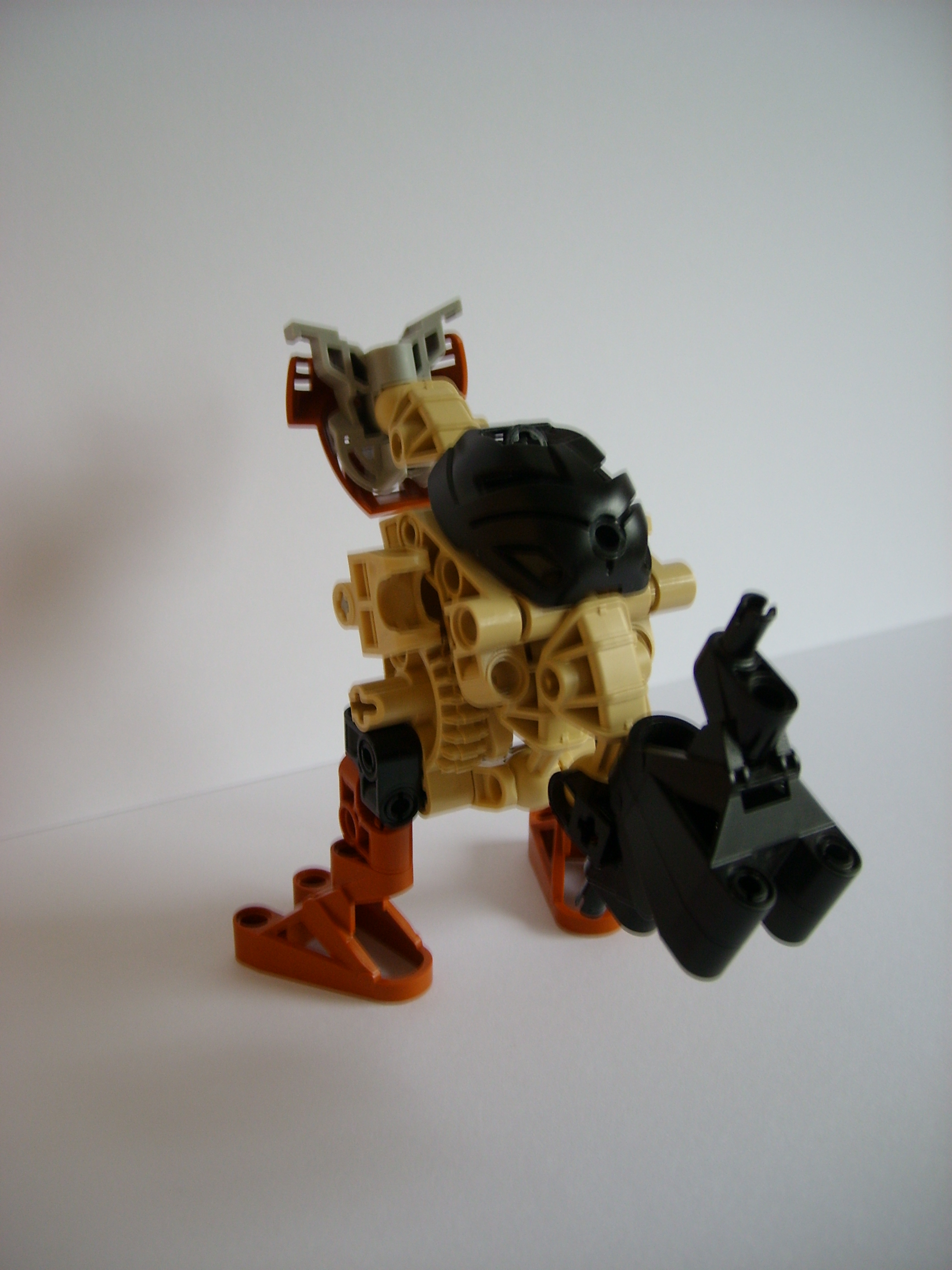 stp62511.jpg