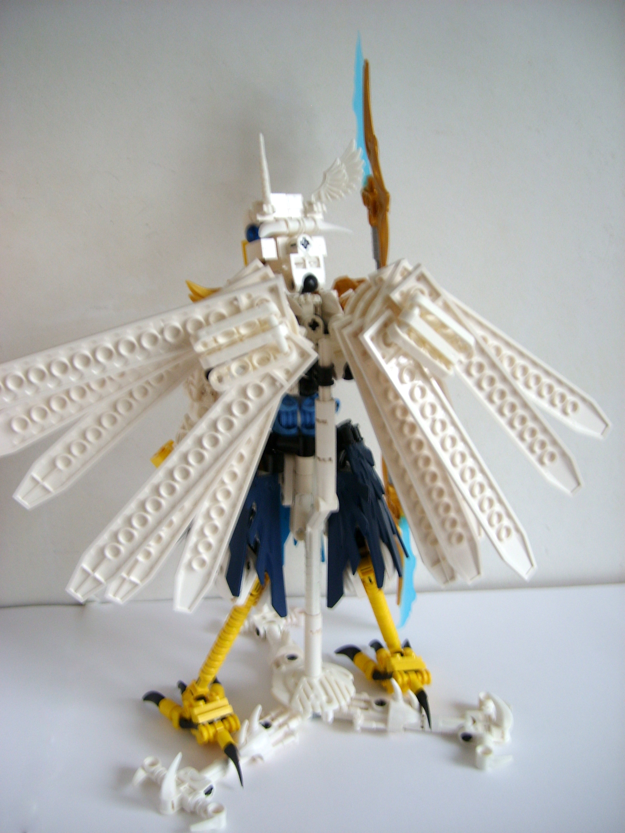 stp62025.jpg