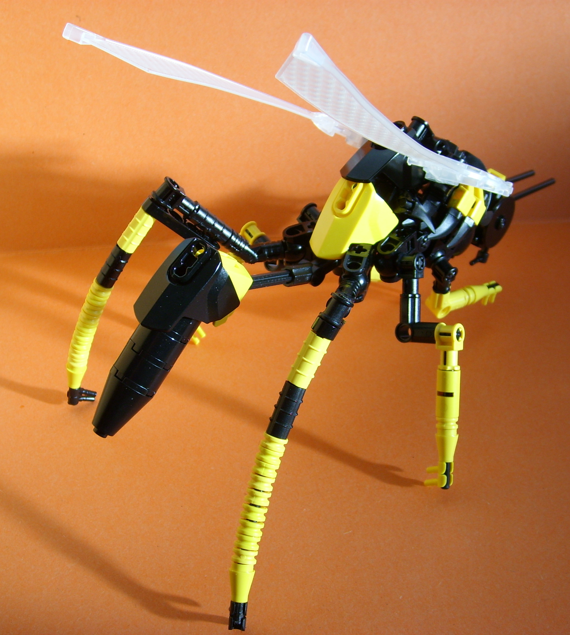 stp62092.jpg