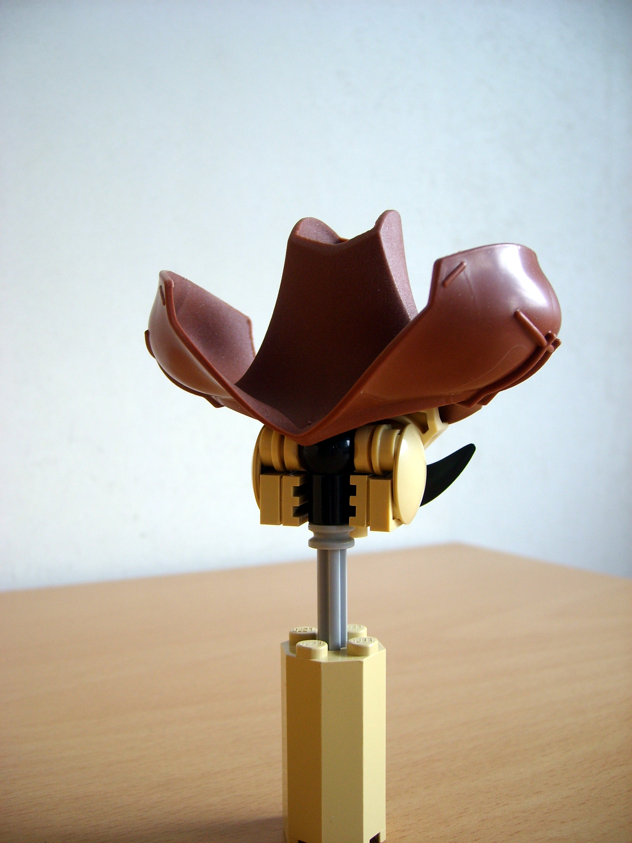cowboy_4.jpg
