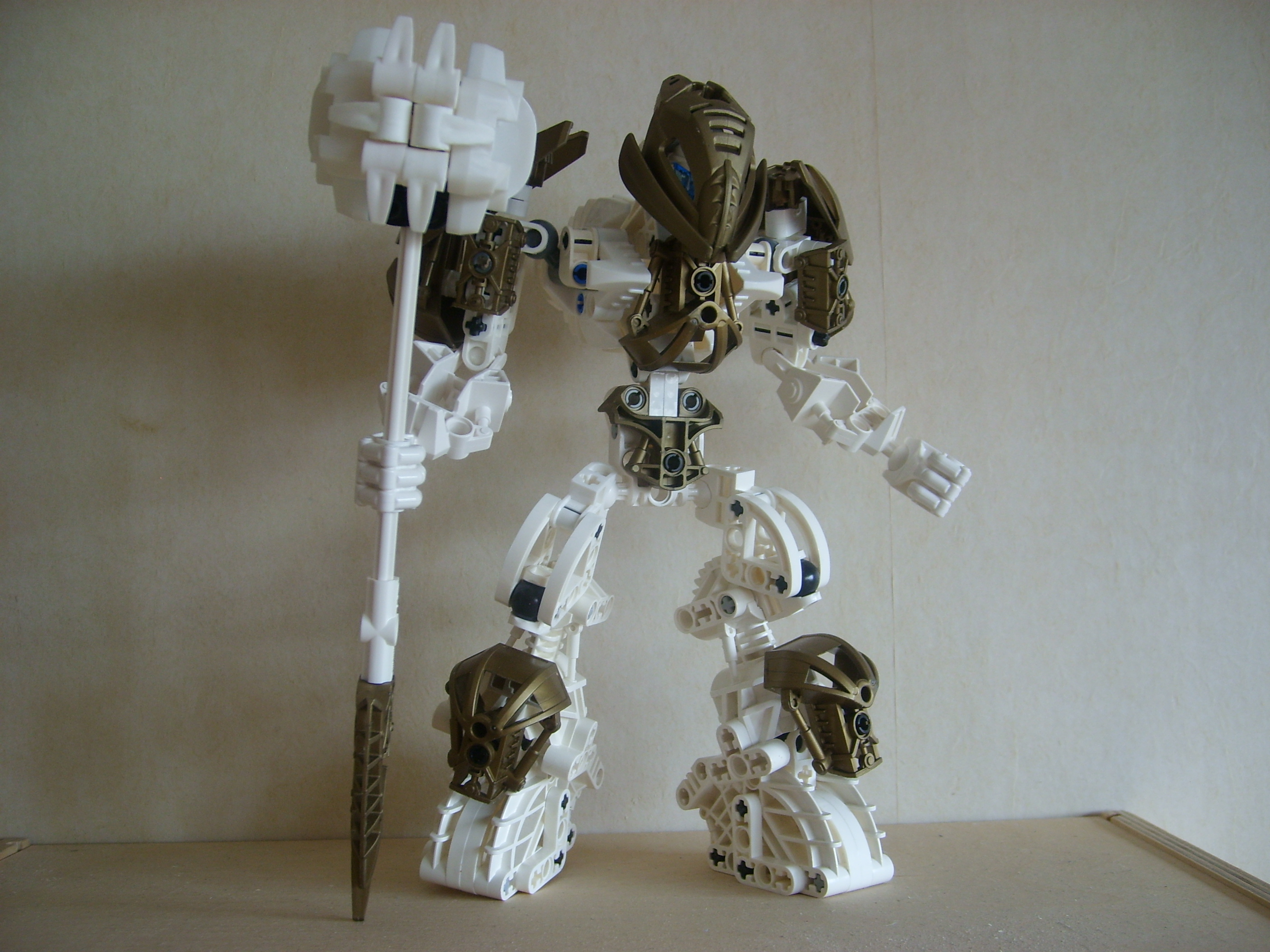 stp60100.jpg