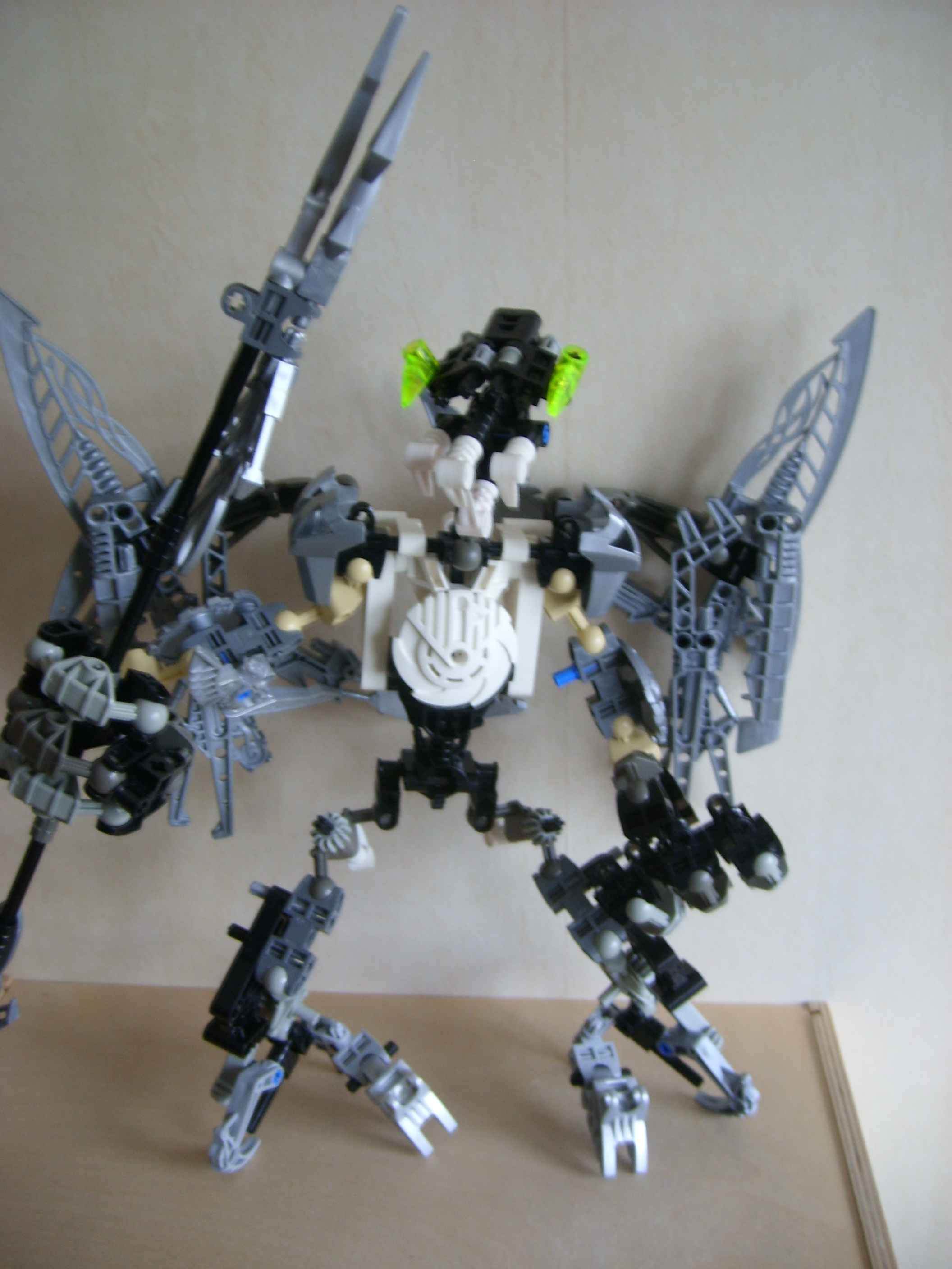 stp61114.jpg