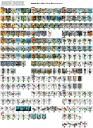 bionicle_checklist.png