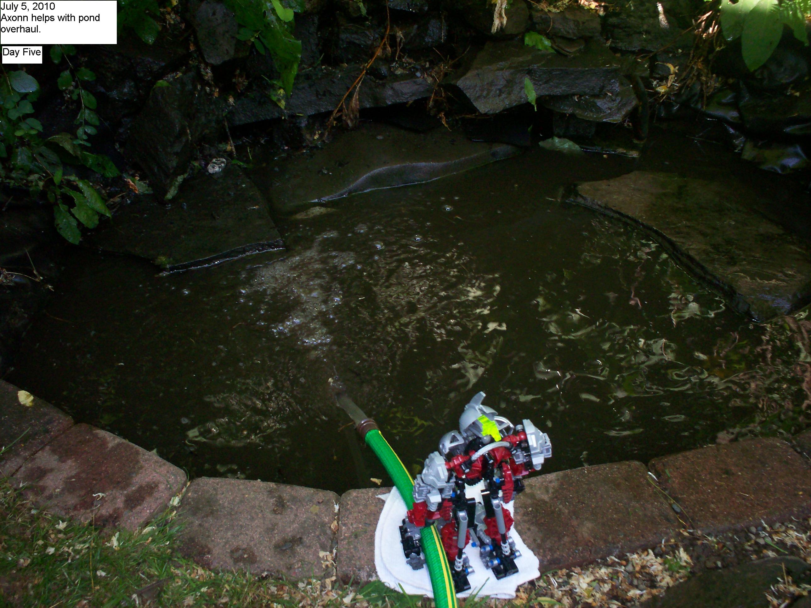 pond_1.jpg