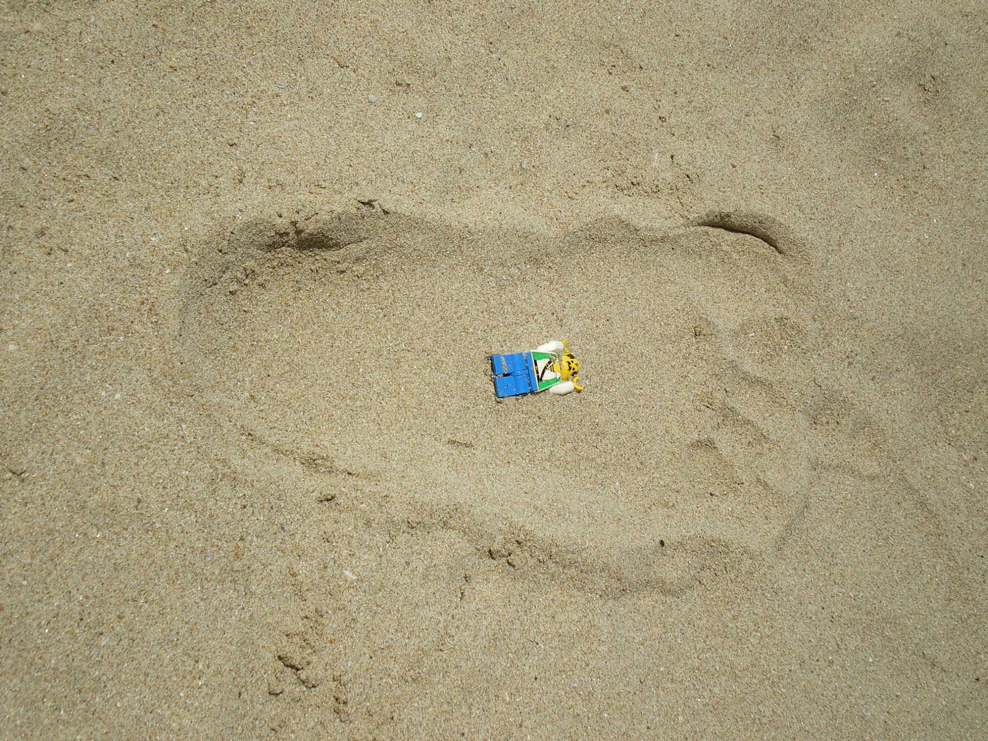 028_he_was_not_the_only_one_who_took_a_walk_by_the_beach....jpg