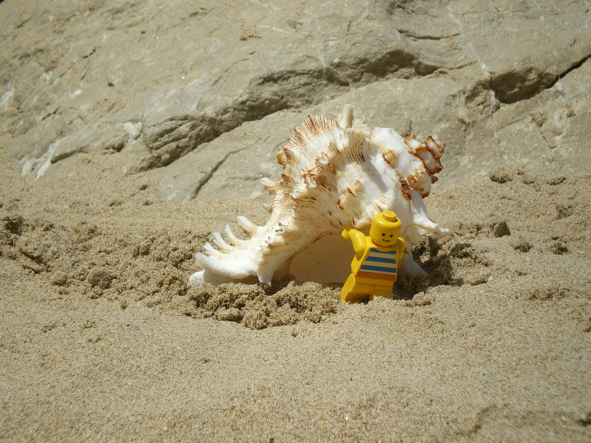 029_the_hermit_minifig_carries_his_house_anywhere_he_goes....jpg