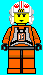 swlkpilot1.gif