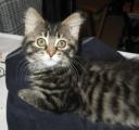 lucy1.jpg