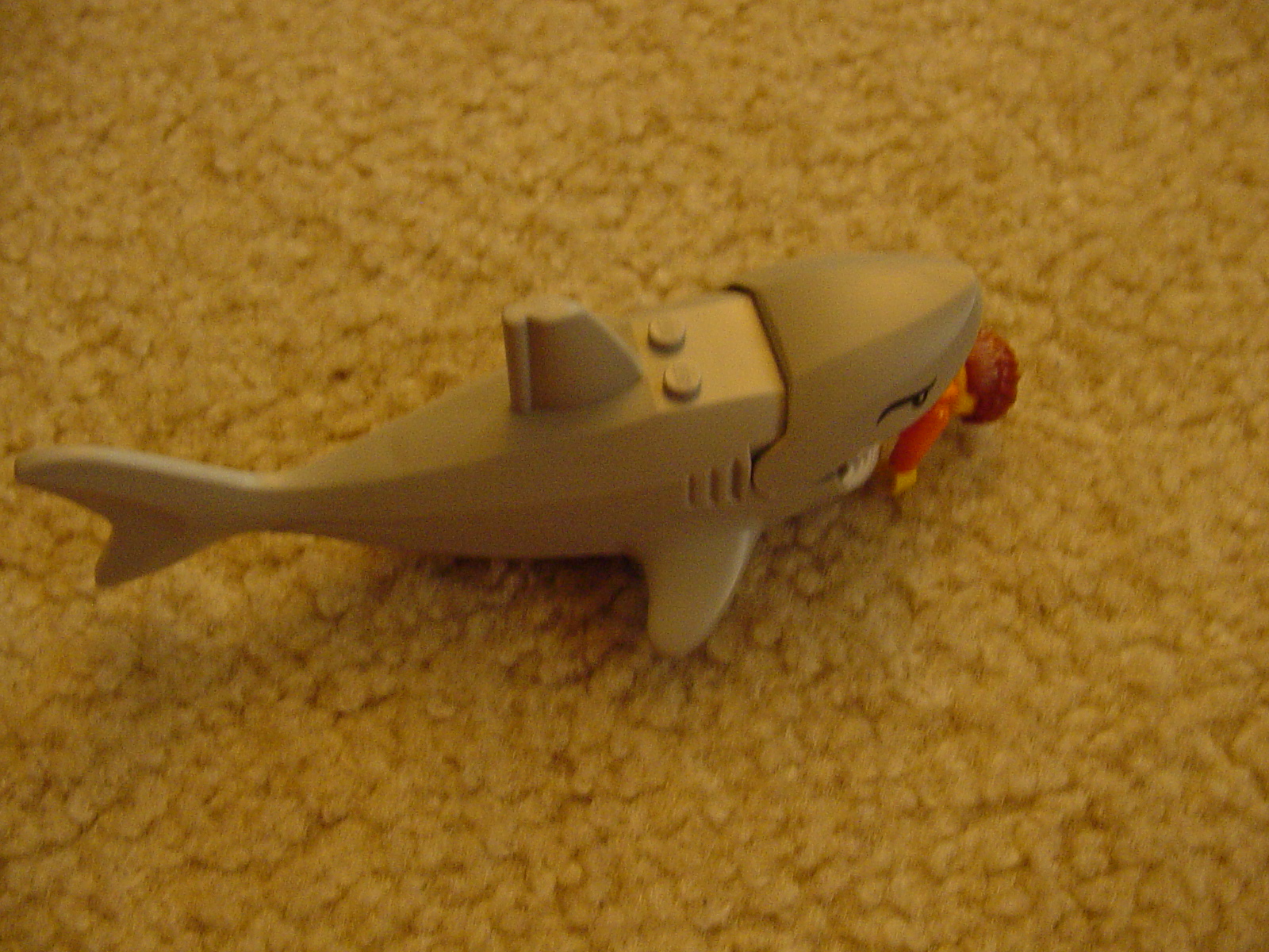 sharkattack3.jpg