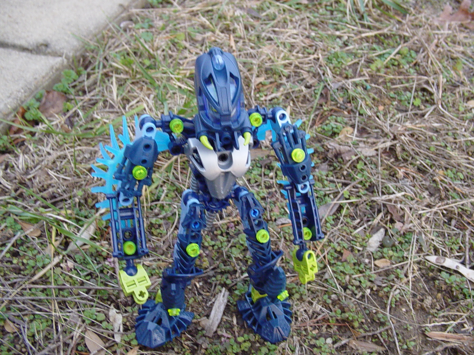 phytana-toa_of_plantlife.jpg