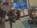 downsized_0228091746a.jpg