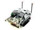 turtle_07.jpg